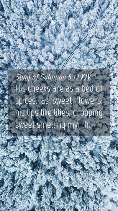 Picture 04 - Song of Solomon 5:13 KJV Mobile Phone Wallpaper - His cheeks are as a bed of spices, as sweet - Mobile Bible Verse Wallpaper