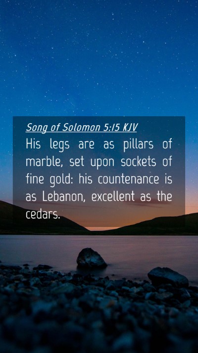 Picture 04 - Song of Solomon 5:15 KJV Mobile Phone Wallpaper - His legs are as pillars of marble, set upon - Mobile Bible Verse Wallpaper