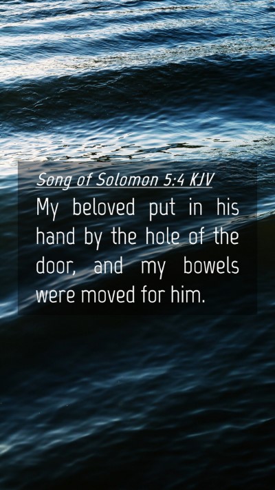 Picture 04 - Song of Solomon 5:4 KJV Mobile Phone Wallpaper - My beloved put in his hand by the hole of the - Mobile Bible Verse Wallpaper