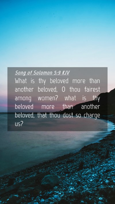 Picture 04 - Song of Solomon 5:9 KJV Mobile Phone Wallpaper - What is thy beloved more than another beloved, O - Mobile Bible Verse Wallpaper