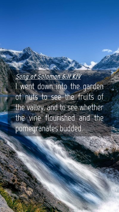 Picture 04 - Song of Solomon 6:11 KJV Mobile Phone Wallpaper - I went down into the garden of nuts to see the - Mobile Bible Verse Wallpaper