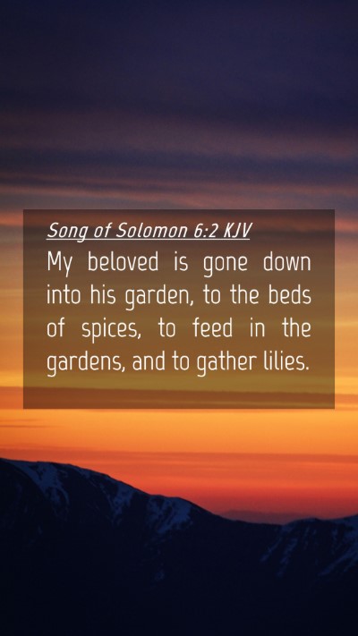 Picture 04 - Song of Solomon 6:2 KJV Mobile Phone Wallpaper - My beloved is gone down into his garden, to the - Mobile Bible Verse Wallpaper