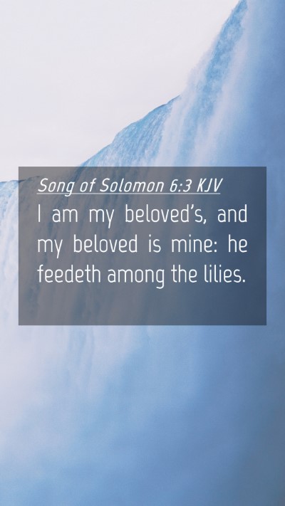 Picture 04 - Song of Solomon 6:3 KJV Mobile Phone Wallpaper - I am my beloved's, and my beloved is mine: he - Mobile Bible Verse Wallpaper
