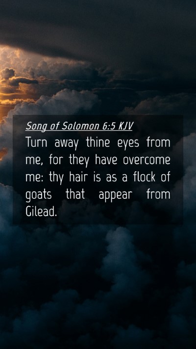 Picture 04 - Song of Solomon 6:5 KJV Mobile Phone Wallpaper - Turn away thine eyes from me, for they have - Mobile Bible Verse Wallpaper