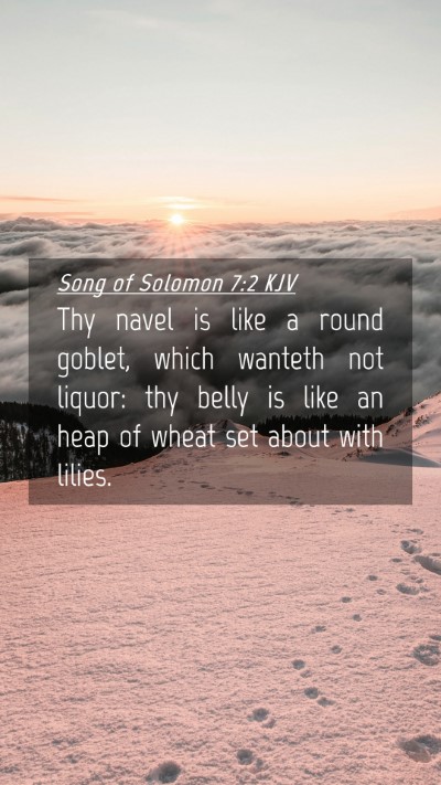 Picture 04 - Song of Solomon 7:2 KJV Mobile Phone Wallpaper - Thy navel is like a round goblet, which wanteth - Mobile Bible Verse Wallpaper