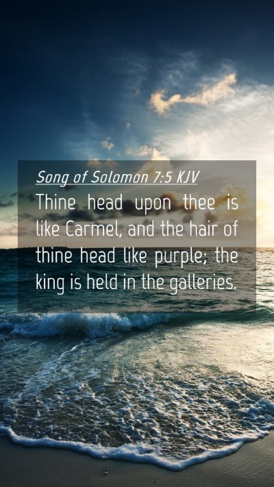 Picture 04 - Song of Solomon 7:5 KJV Mobile Phone Wallpaper - Thine head upon thee is like Carmel, and the hair - Mobile Bible Verse Wallpaper