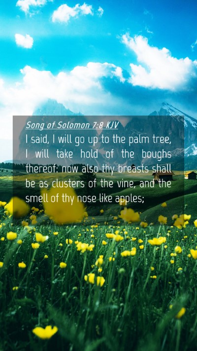 Picture 04 - Song of Solomon 7:8 KJV Mobile Phone Wallpaper - I said, I will go up to the palm tree, I will - Mobile Bible Verse Wallpaper