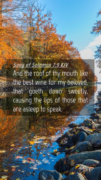 Picture 04 - Song of Solomon 7:9 KJV Mobile Phone Wallpaper - And the roof of thy mouth like the best wine for - Mobile Bible Verse Wallpaper
