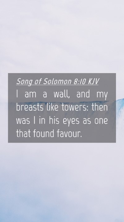 Picture 04 - Song of Solomon 8:10 KJV Mobile Phone Wallpaper - I am a wall, and my breasts like towers: then was - Mobile Bible Verse Wallpaper