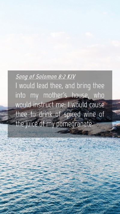Picture 04 - Song of Solomon 8:2 KJV Mobile Phone Wallpaper - I would lead thee, and bring thee into my - Mobile Bible Verse Wallpaper