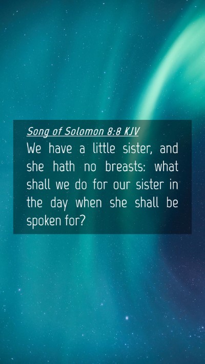 Picture 04 - Song of Solomon 8:8 KJV Mobile Phone Wallpaper - We have a little sister, and she hath no breasts: - Mobile Bible Verse Wallpaper