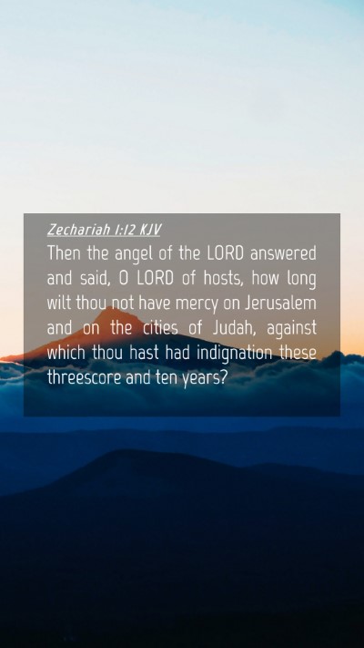 Picture 04 - Zechariah 1:12 KJV Mobile Phone Wallpaper - Then the angel of the LORD answered and said, O - Mobile Bible Verse Wallpaper