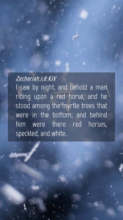 Picture 04 - Zechariah 1:8 KJV Mobile Phone Wallpaper - I saw by night, and behold a man riding upon a - Mobile Bible Verse Wallpaper
