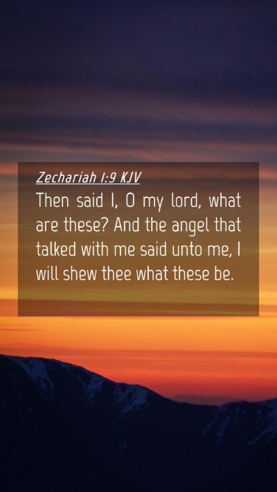 Picture 04 - Zechariah 1:9 KJV Mobile Phone Wallpaper - Then said I, O my lord, what are these? And the - Mobile Bible Verse Wallpaper