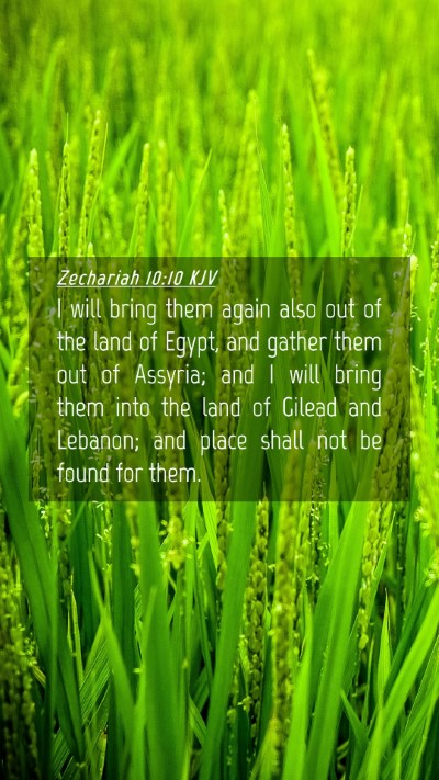 Picture 04 - Zechariah 10:10 KJV Mobile Phone Wallpaper - I will bring them again also out of the land of - Mobile Bible Verse Wallpaper