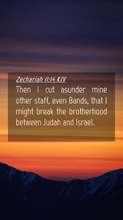 Picture 04 - Zechariah 11:14 KJV Mobile Phone Wallpaper - Then I cut asunder mine other staff, even Bands, - Mobile Bible Verse Wallpaper