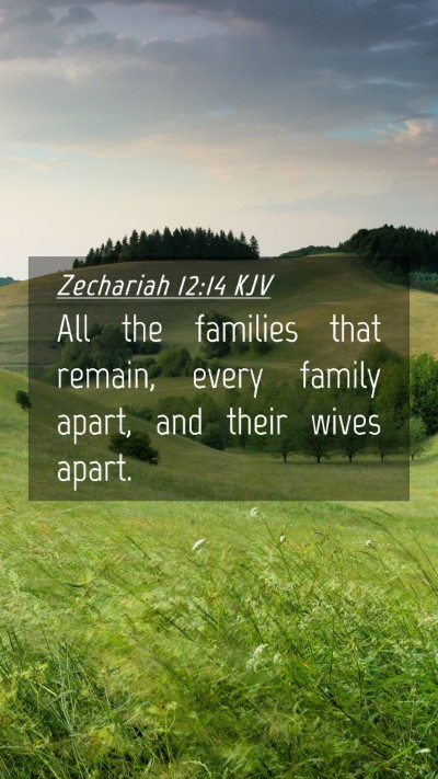 Picture 04 - Zechariah 12:14 KJV Mobile Phone Wallpaper - All the families that remain, every family apart, - Mobile Bible Verse Wallpaper