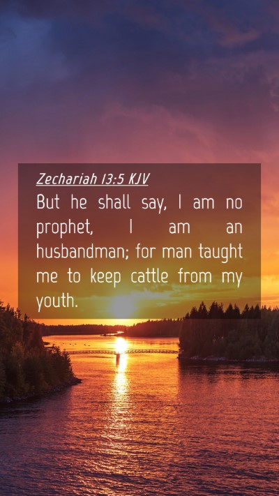 Picture 04 - Zechariah 13:5 KJV Mobile Phone Wallpaper - But he shall say, I am no prophet, I am an - Mobile Bible Verse Wallpaper