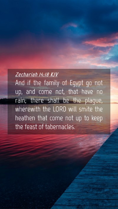 Picture 04 - Zechariah 14:18 KJV Mobile Phone Wallpaper - And if the family of Egypt go not up, and come - Mobile Bible Verse Wallpaper