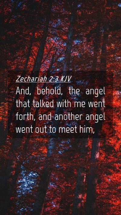 Picture 04 - Zechariah 2:3 KJV Mobile Phone Wallpaper - And, behold, the angel that talked with me went - Mobile Bible Verse Wallpaper