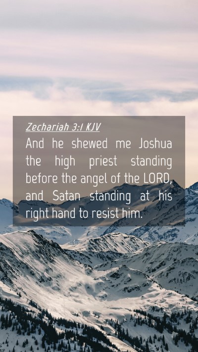 Picture 04 - Zechariah 3:1 KJV Mobile Phone Wallpaper - And he shewed me Joshua the high priest standing - Mobile Bible Verse Wallpaper