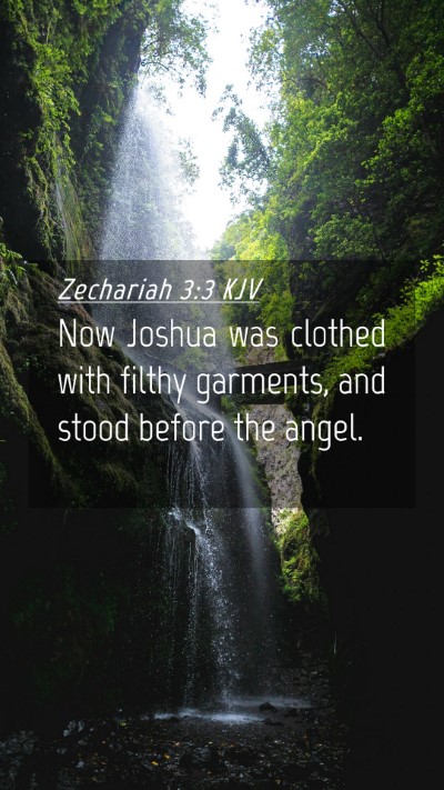 Picture 04 - Zechariah 3:3 KJV Mobile Phone Wallpaper - Now Joshua was clothed with filthy garments, and - Mobile Bible Verse Wallpaper