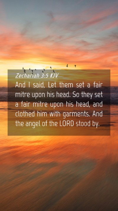Picture 04 - Zechariah 3:5 KJV Mobile Phone Wallpaper - And I said, Let them set a fair mitre upon his - Mobile Bible Verse Wallpaper