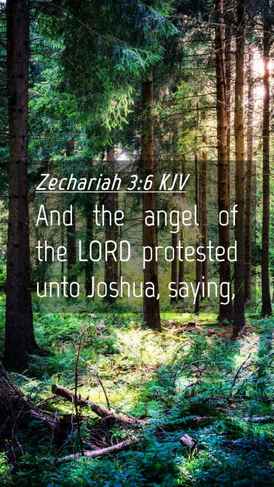 Picture 04 - Zechariah 3:6 KJV Mobile Phone Wallpaper - And the angel of the LORD protested unto Joshua, - Mobile Bible Verse Wallpaper