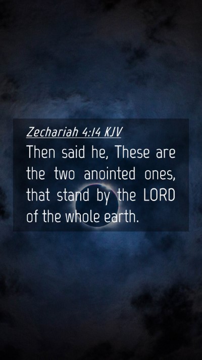 Picture 04 - Zechariah 4:14 KJV Mobile Phone Wallpaper - Then said he, These are the two anointed ones, - Mobile Bible Verse Wallpaper