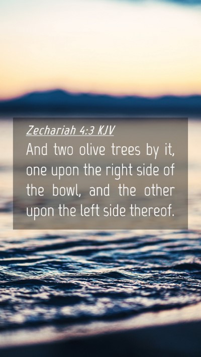 Picture 04 - Zechariah 4:3 KJV Mobile Phone Wallpaper - And two olive trees by it, one upon the right - Mobile Bible Verse Wallpaper