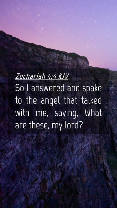 Picture 04 - Zechariah 4:4 KJV Mobile Phone Wallpaper - So I answered and spake to the angel that talked - Mobile Bible Verse Wallpaper