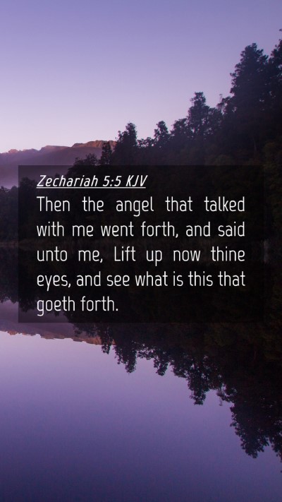Picture 04 - Zechariah 5:5 KJV Mobile Phone Wallpaper - Then the angel that talked with me went forth, - Mobile Bible Verse Wallpaper