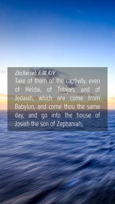 Picture 04 - Zechariah 6:10 KJV Mobile Phone Wallpaper - Take of them of the captivity, even of Heldai, of - Mobile Bible Verse Wallpaper