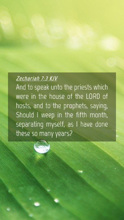 Picture 04 - Zechariah 7:3 KJV Mobile Phone Wallpaper - And to speak unto the priests which were in the - Mobile Bible Verse Wallpaper