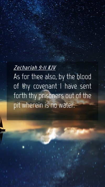 Picture 04 - Zechariah 9:11 KJV Mobile Phone Wallpaper - As for thee also, by the blood of thy covenant I - Mobile Bible Verse Wallpaper