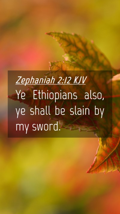 Picture 04 - Zephaniah 2:12 KJV Mobile Phone Wallpaper - Ye Ethiopians also, ye shall be slain by my - Mobile Bible Verse Wallpaper