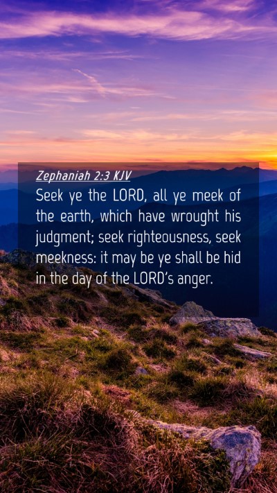 Picture 04 - Zephaniah 2:3 KJV Mobile Phone Wallpaper - Seek ye the LORD, all ye meek of the earth, which - Mobile Bible Verse Wallpaper