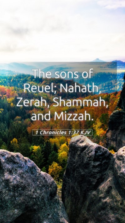 Picture 05 - 1 Chronicles 1:37 KJV Mobile Phone Wallpaper - The sons of Reuel; Nahath, Zerah, Shammah, and - Mobile Bible Verse Wallpaper