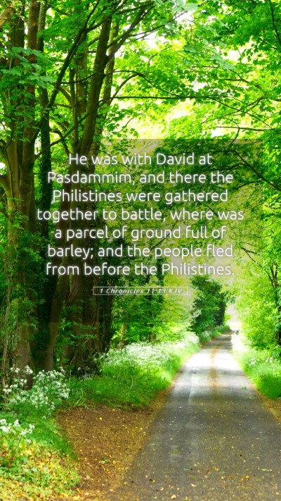 Picture 05 - 1 Chronicles 11:13 KJV Mobile Phone Wallpaper - He was with David at Pasdammim, and there the - Mobile Bible Verse Wallpaper