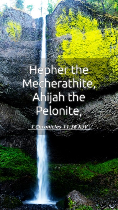 Picture 05 - 1 Chronicles 11:36 KJV Mobile Phone Wallpaper - Hepher the Mecherathite, Ahijah the - Mobile Bible Verse Wallpaper