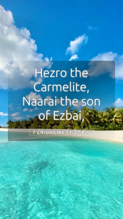Picture 05 - 1 Chronicles 11:37 KJV Mobile Phone Wallpaper - Hezro the Carmelite, Naarai the son of - Mobile Bible Verse Wallpaper