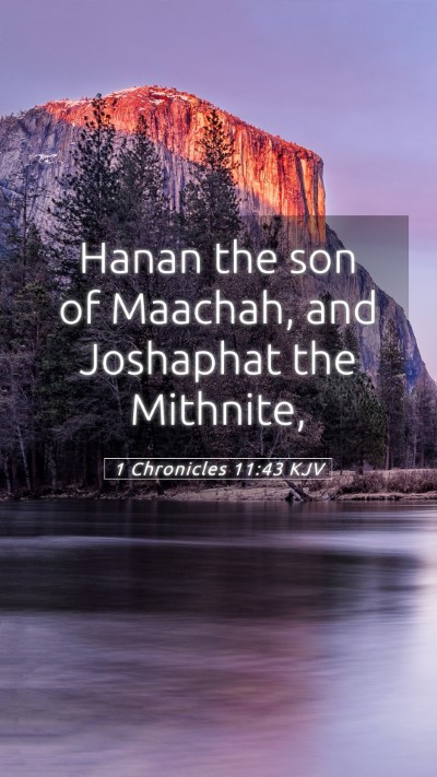 Picture 05 - 1 Chronicles 11:43 KJV Mobile Phone Wallpaper - Hanan the son of Maachah, and Joshaphat the - Mobile Bible Verse Wallpaper