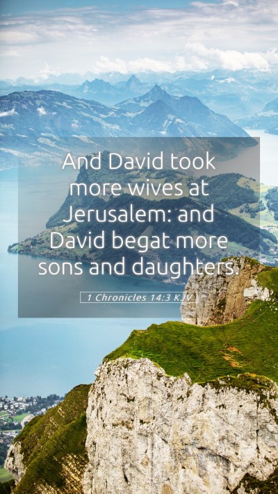 Picture 05 - 1 Chronicles 14:3 KJV Mobile Phone Wallpaper - And David took more wives at Jerusalem: and David - Mobile Bible Verse Wallpaper