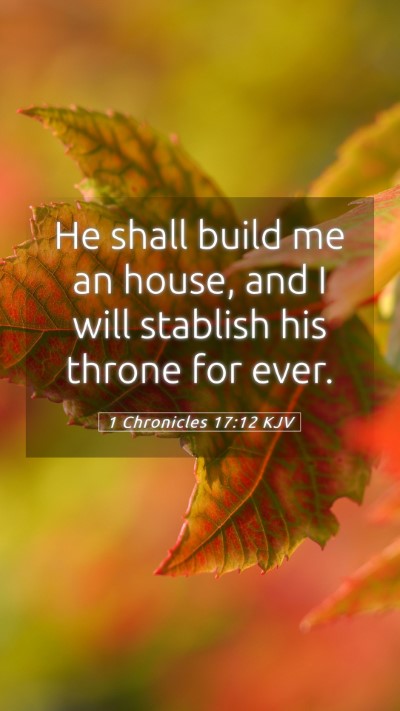 Picture 05 - 1 Chronicles 17:12 KJV Mobile Phone Wallpaper - He shall build me an house, and I will stablish - Mobile Bible Verse Wallpaper