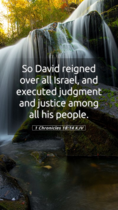 Picture 05 - 1 Chronicles 18:14 KJV Mobile Phone Wallpaper - So David reigned over all Israel, and executed - Mobile Bible Verse Wallpaper