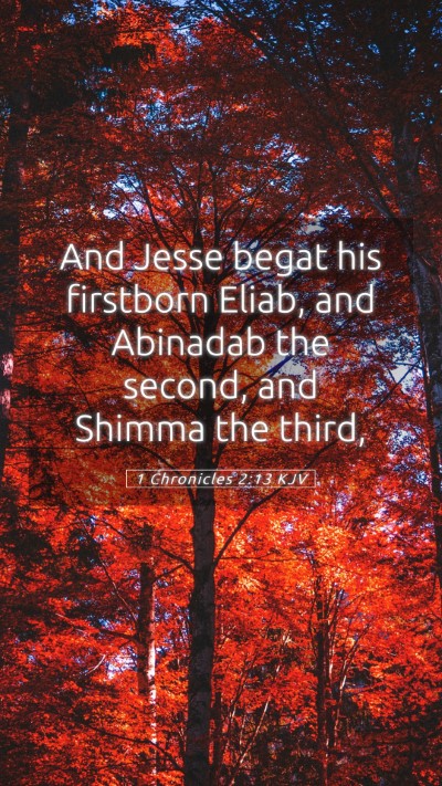 Picture 05 - 1 Chronicles 2:13 KJV Mobile Phone Wallpaper - And Jesse begat his firstborn Eliab, and Abinadab - Mobile Bible Verse Wallpaper