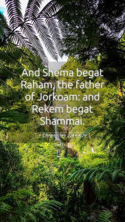 Picture 05 - 1 Chronicles 2:44 KJV Mobile Phone Wallpaper - And Shema begat Raham, the father of Jorkoam: and - Mobile Bible Verse Wallpaper