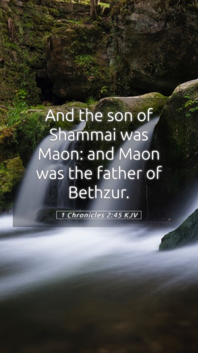 Picture 05 - 1 Chronicles 2:45 KJV Mobile Phone Wallpaper - And the son of Shammai was Maon: and Maon was the - Mobile Bible Verse Wallpaper