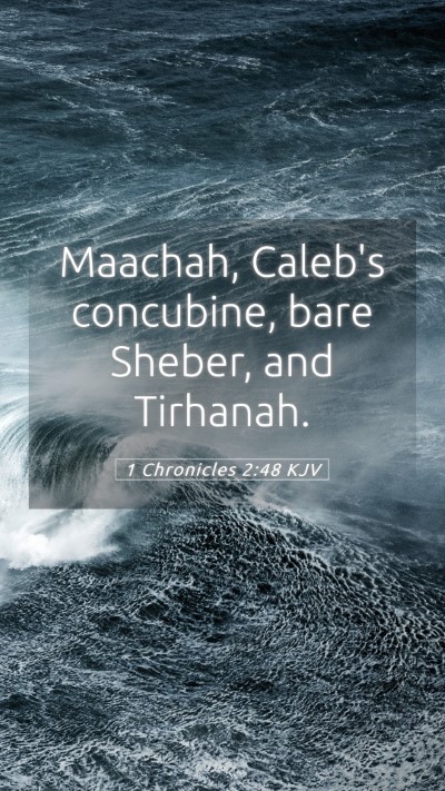 Picture 05 - 1 Chronicles 2:48 KJV Mobile Phone Wallpaper - Maachah, Caleb's concubine, bare Sheber, and - Mobile Bible Verse Wallpaper