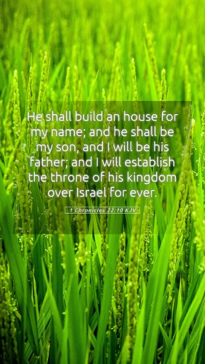 Picture 05 - 1 Chronicles 22:10 KJV Mobile Phone Wallpaper - He shall build an house for my name; and he shall - Mobile Bible Verse Wallpaper